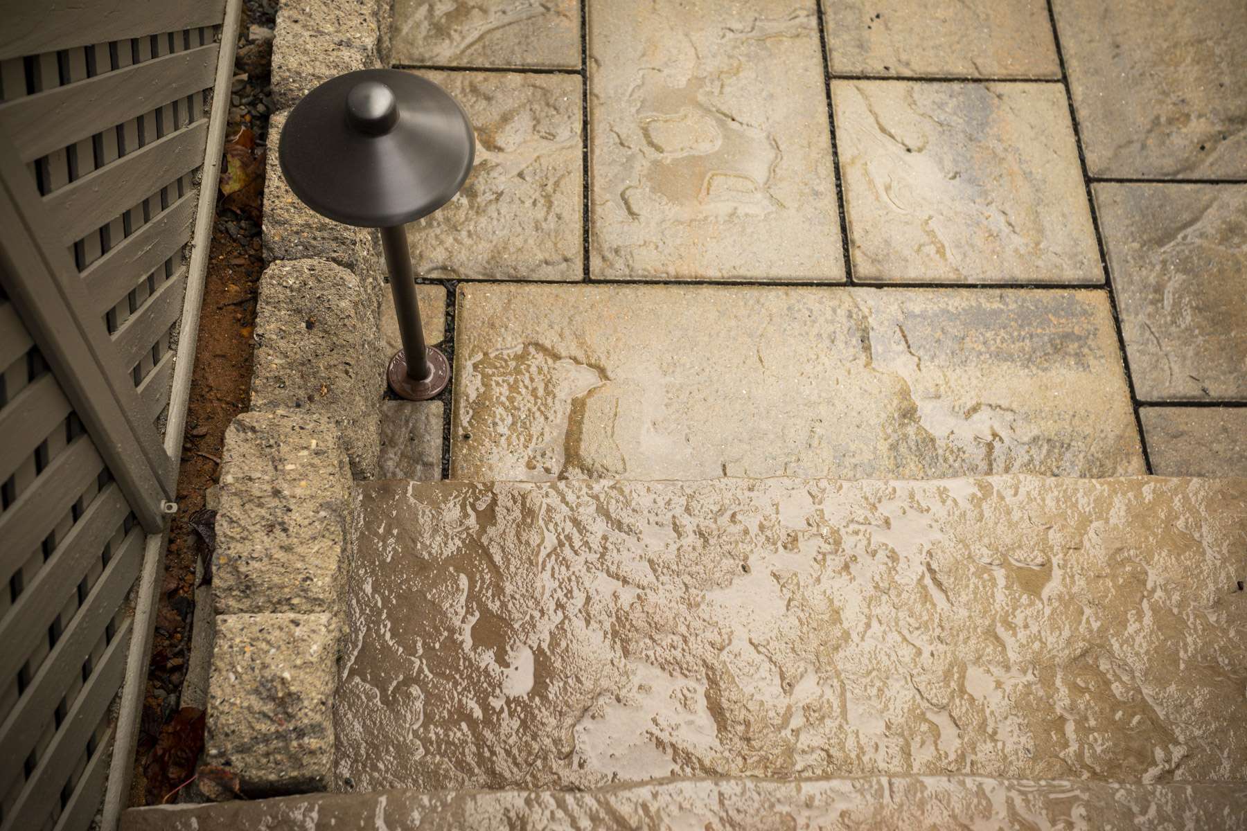 How Much Does Landscape Lighting Cost in Alexandria, Arlington, or